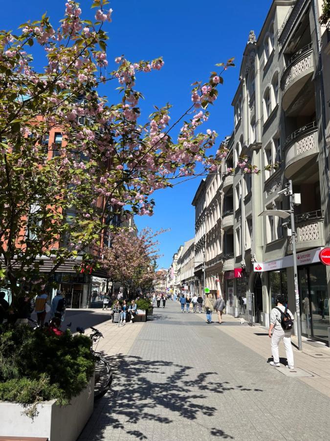 Sloneczny Apartament Centrum Poznania Klimatyzacja Wi-Fi Tv Zmywarka Pralka Piekarnik Екстер'єр фото